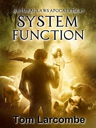 System Function